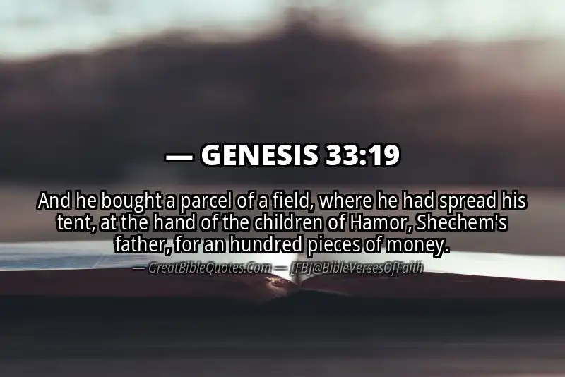 GENESIS 33:19 Verse