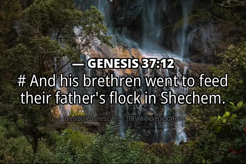 GENESIS 37:12 Verse