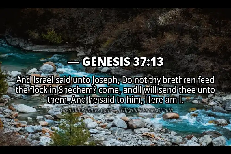 GENESIS 37:13 Verse