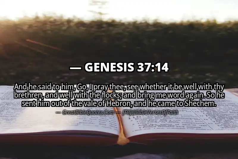 GENESIS 37:14 Verse