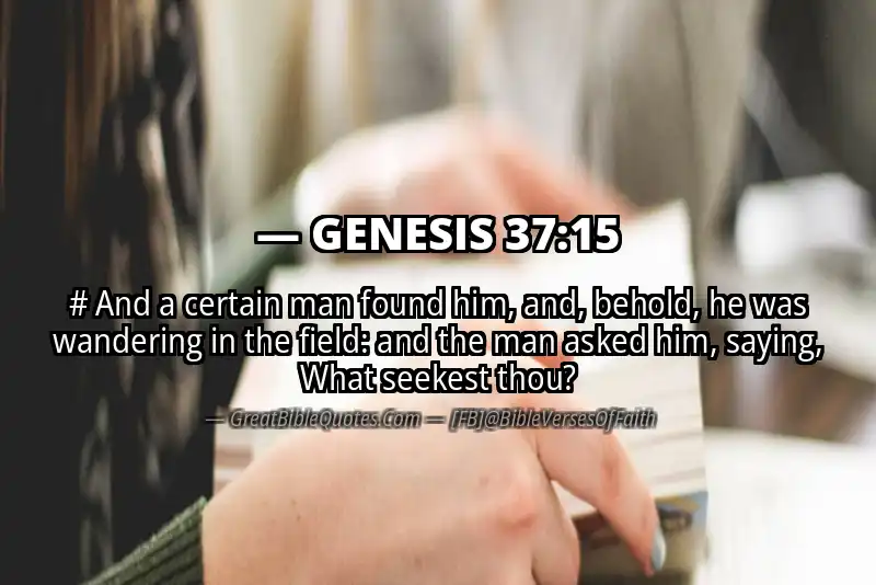 GENESIS 37:15 Verse