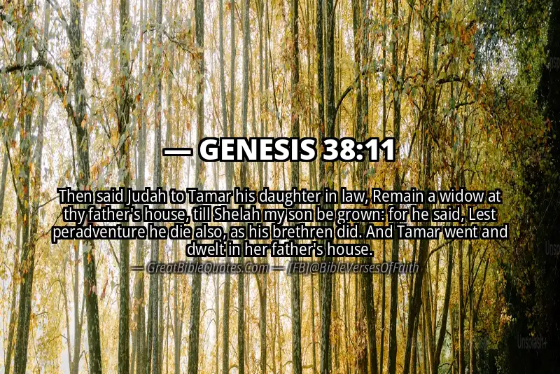 GENESIS 38:11 Verse