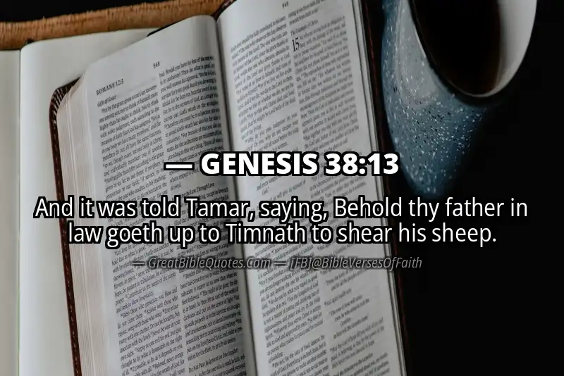 GENESIS 38:13 Verse