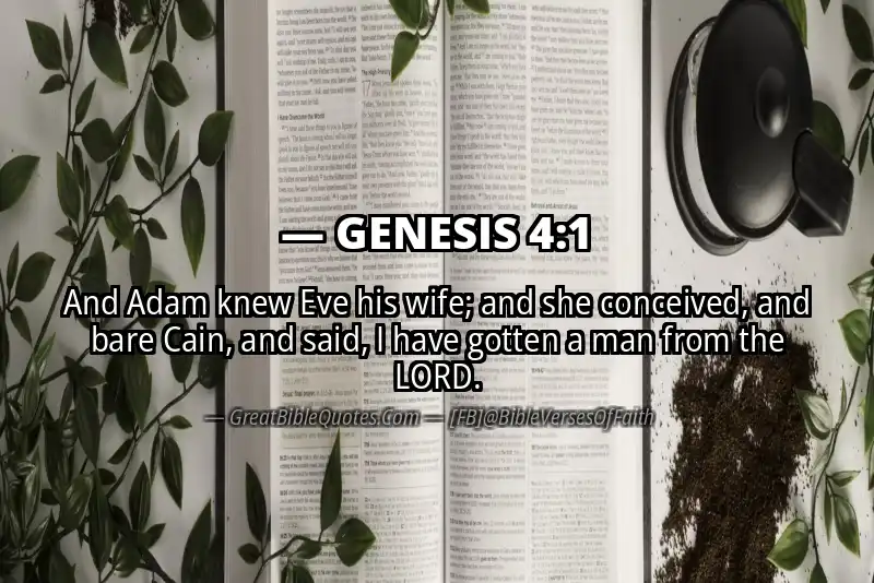 GENESIS 4:1 Verse