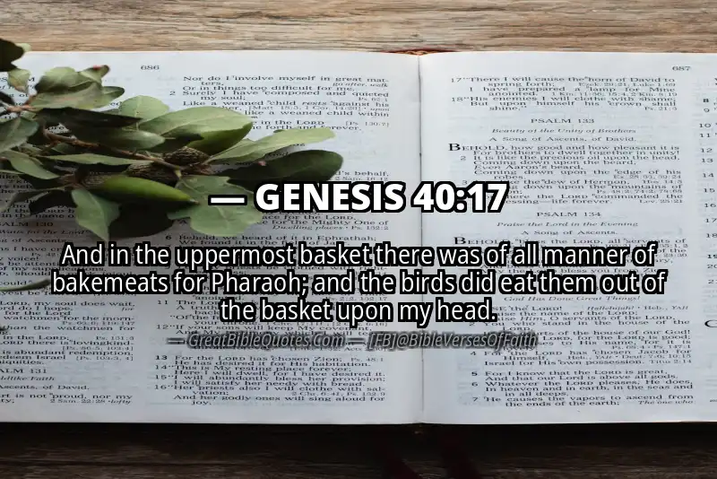 GENESIS 40:17 Verse
