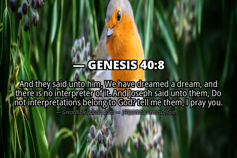 GENESIS 40:8 Verse