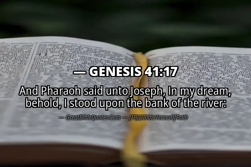 GENESIS 41:17 Verse
