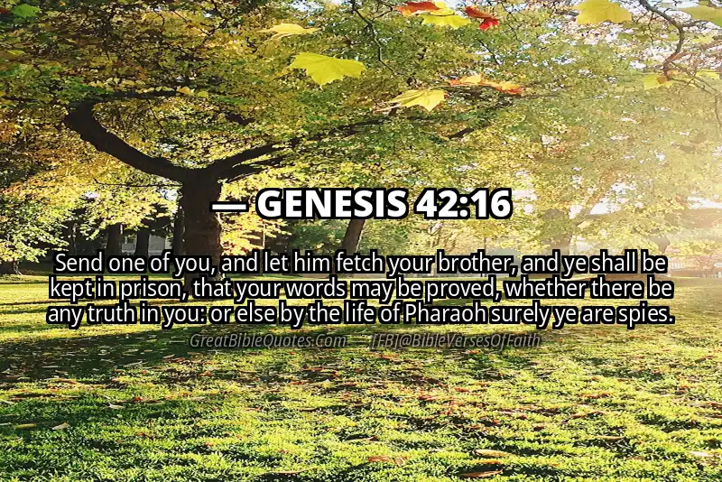 GENESIS 42:16 Verse
