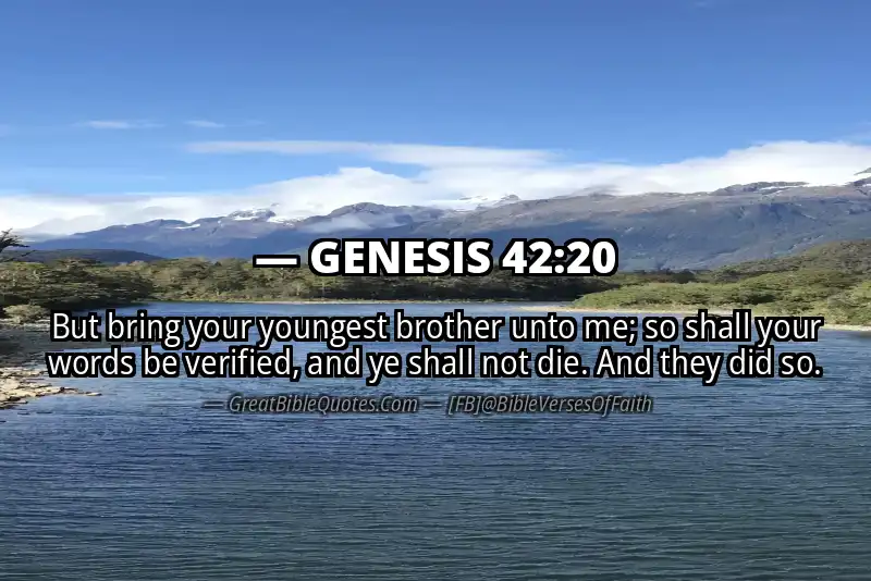 GENESIS 42:20 Verse