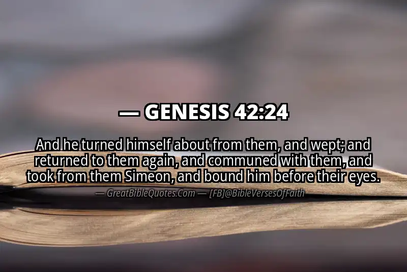 GENESIS 42:24 Verse