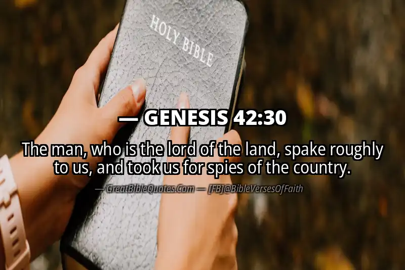 GENESIS 42:30 Verse