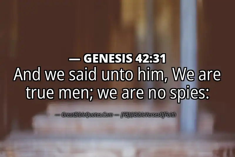 GENESIS 42:31 Verse