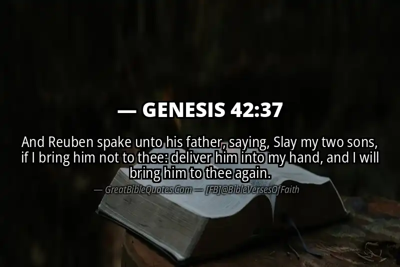 GENESIS 42:37 Verse