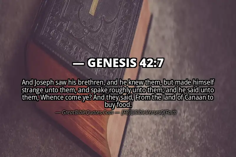 GENESIS 42:7 Verse Image
