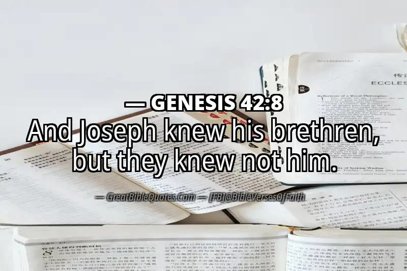 GENESIS 42:8 Verse