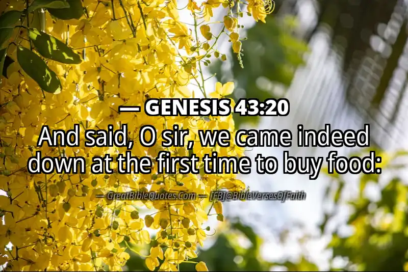 GENESIS 43:20 Verse