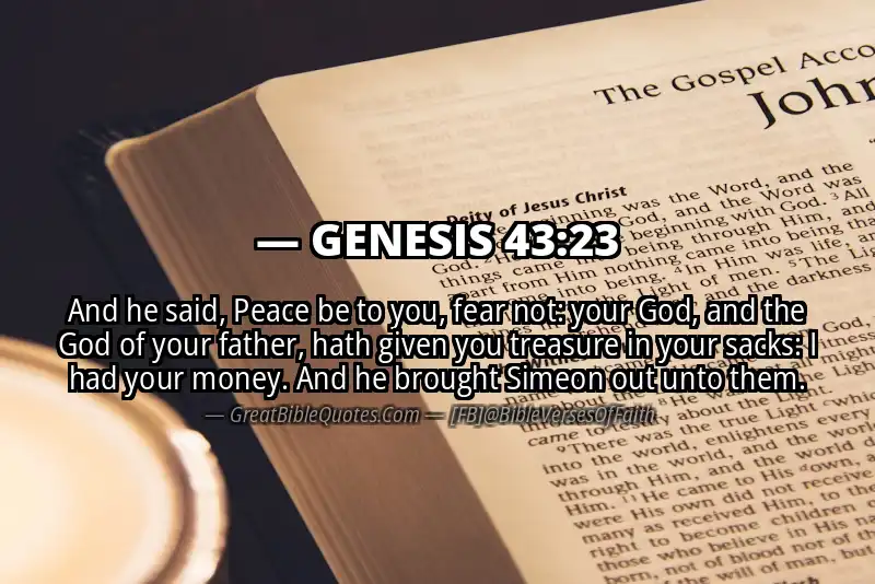 GENESIS 43:23 Verse