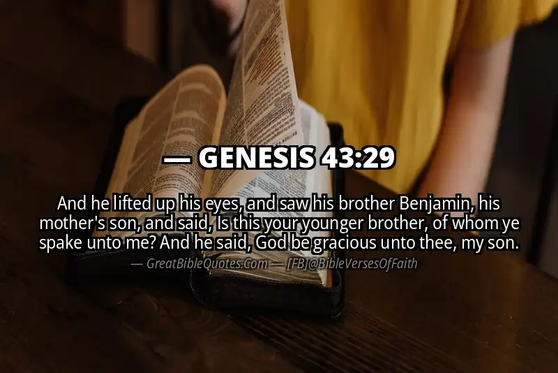 GENESIS 43:29 Verse