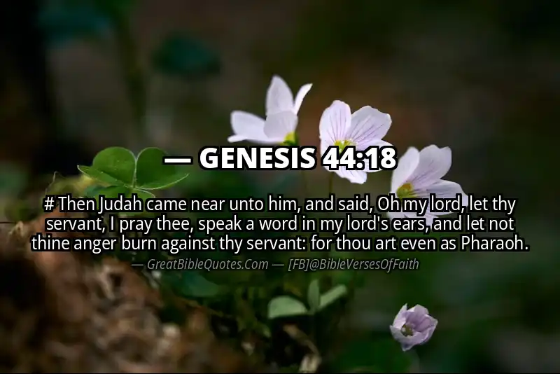 GENESIS 44:18 Verse