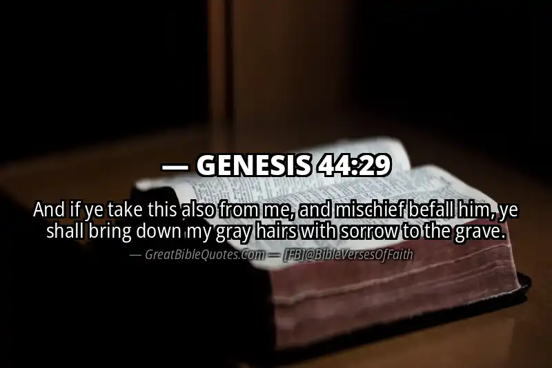 GENESIS 44:29 Verse