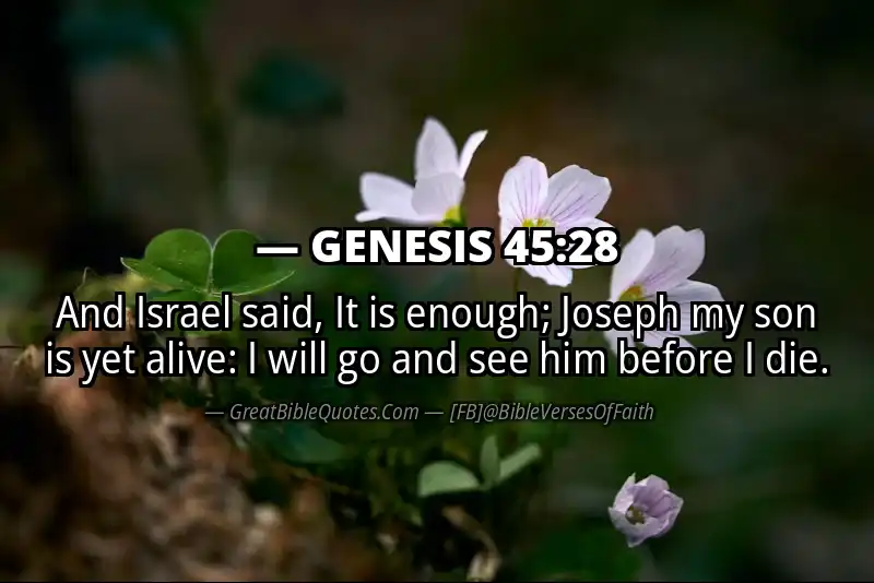 GENESIS 45:28 Verse Image