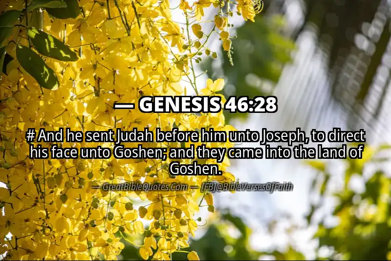 GENESIS 46:28 Verse