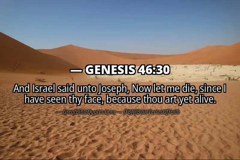 GENESIS 46:30 Verse