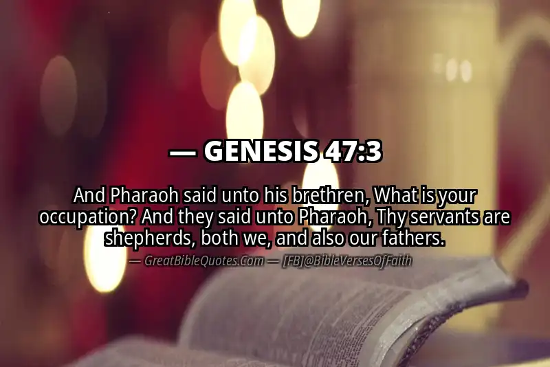GENESIS 47:3 Verse