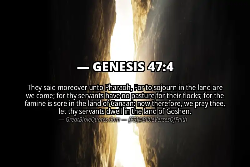 GENESIS 47:4 Verse