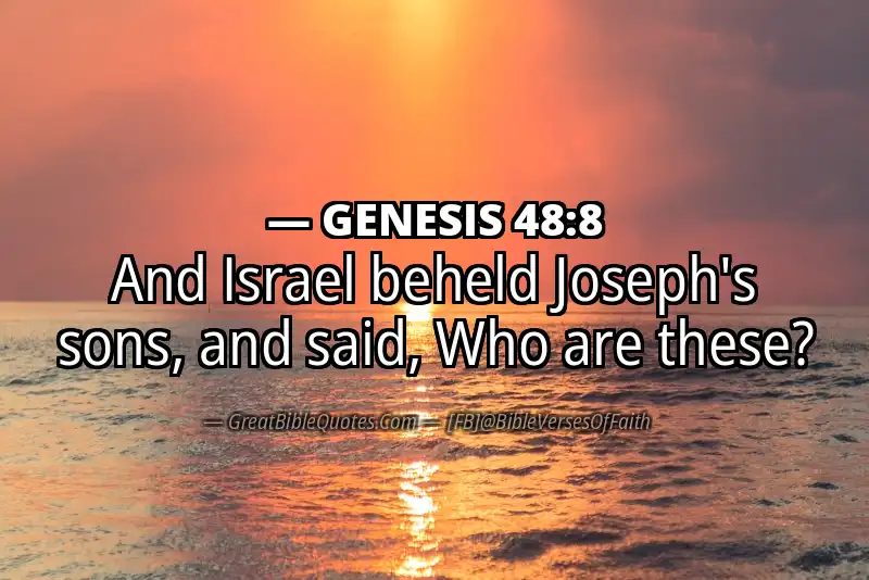 GENESIS 48:8 Verse