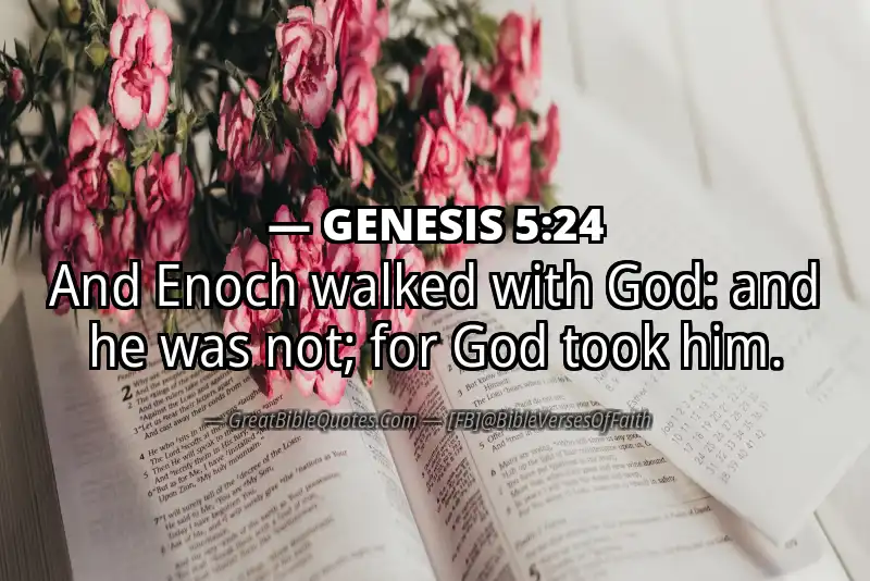 Bible verse: GENESIS 5:24 Image