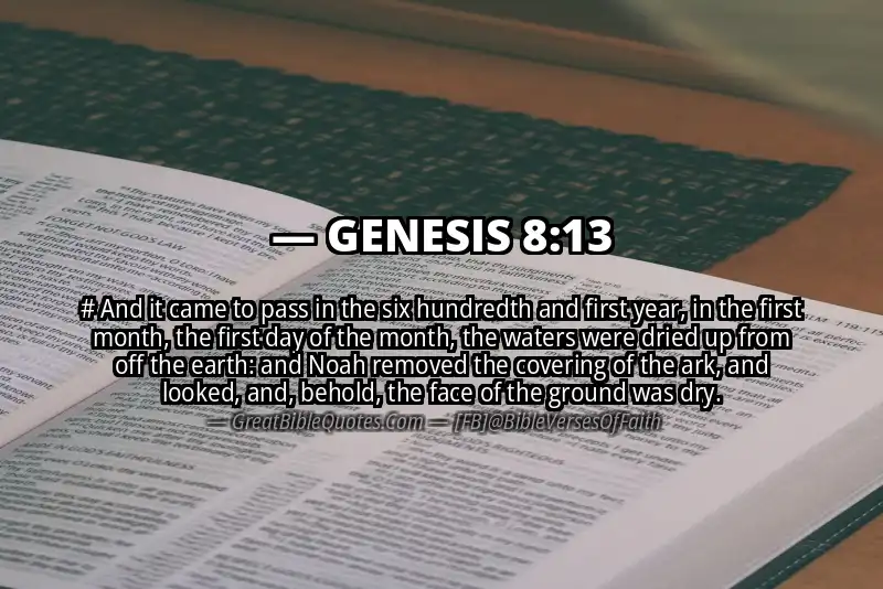 GENESIS 8:13 Verse