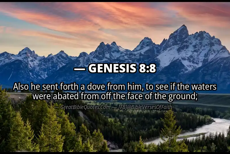 GENESIS 8:8 Verse