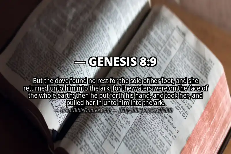 GENESIS 8:9 Verse