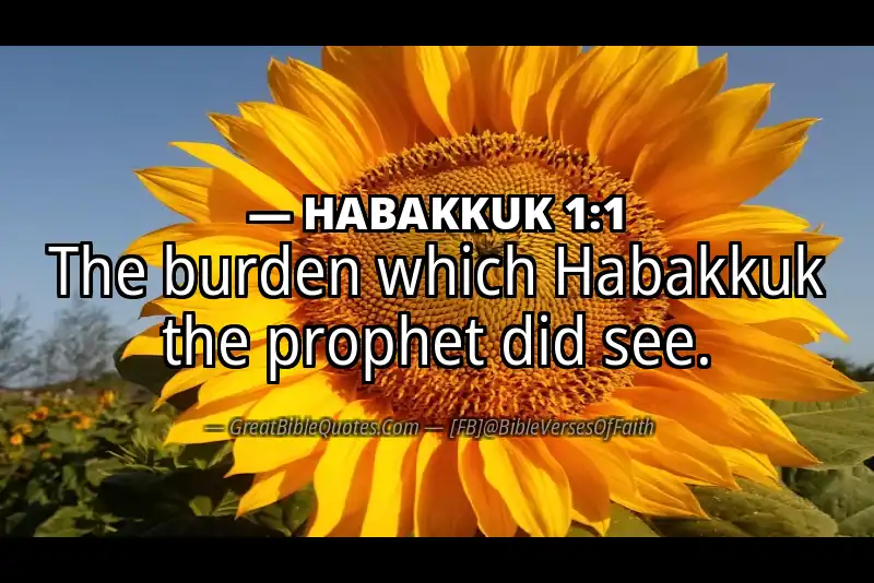 Bible verse: HABAKKUK 1:1 Image