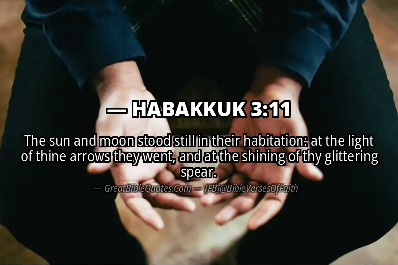 Bible verse: HABAKKUK 3:11 Image