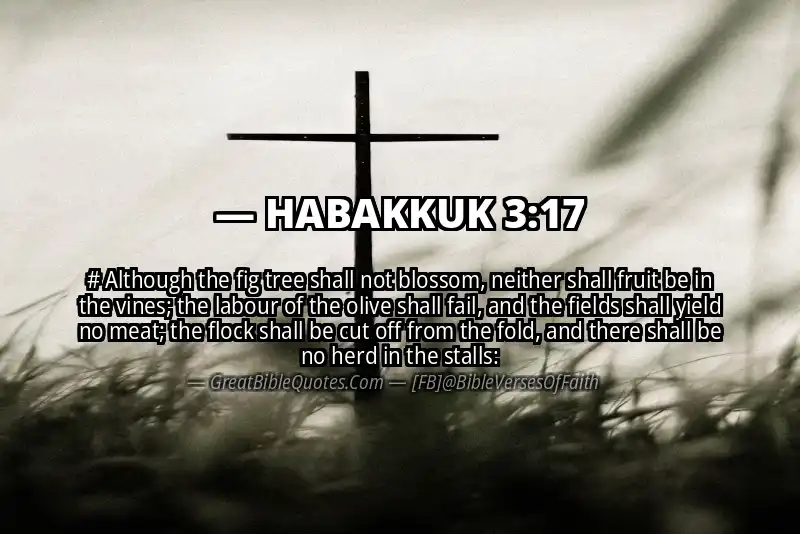 HABAKKUK 3:17 Verse