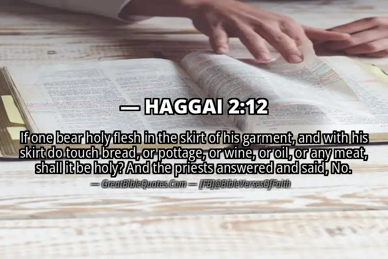 HAGGAI 2:12 Verse