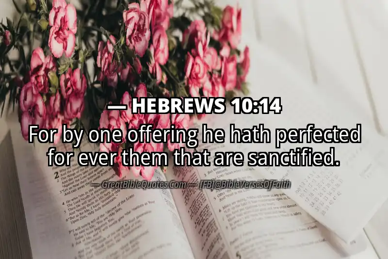 Bible verse: HEBREWS 10:14 Image