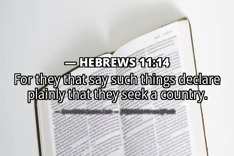 Bible verse: HEBREWS 11:14 Image
