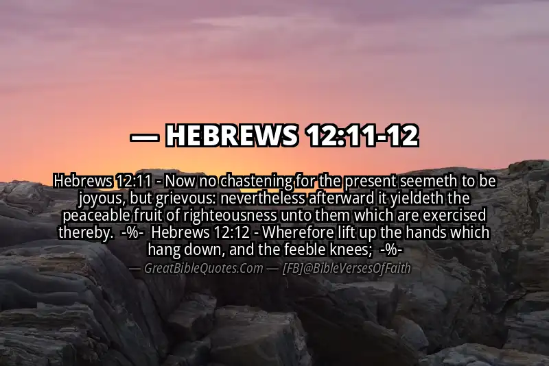 Image for HEBREWS 12:11-12 Bible verse