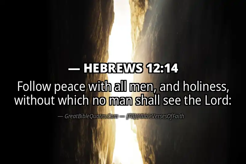 Image for HEBREWS 12:14 Bible verse