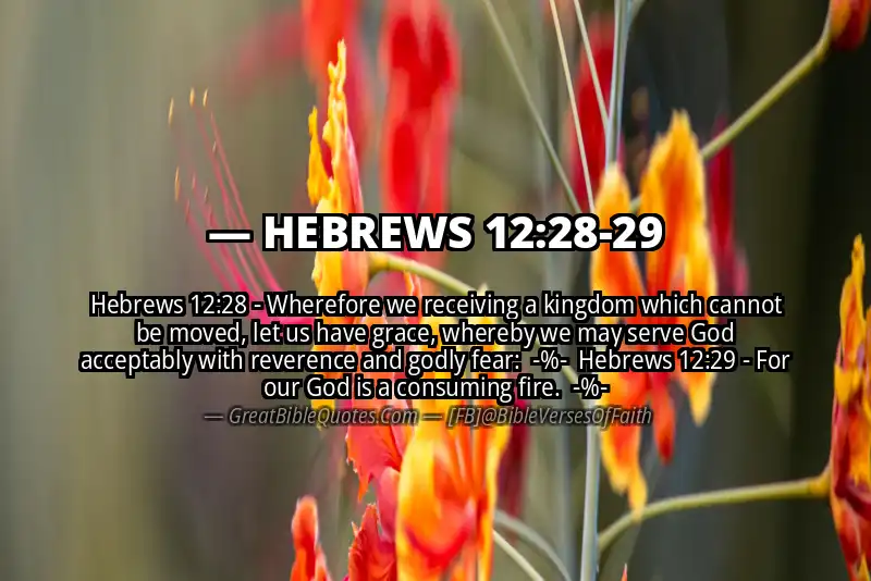 Image for HEBREWS 12:28-29 Bible verse
