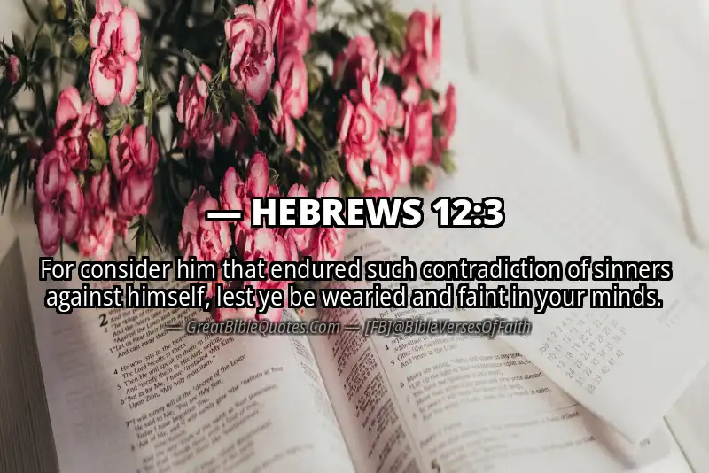 Bible verse: HEBREWS 12:3 Image