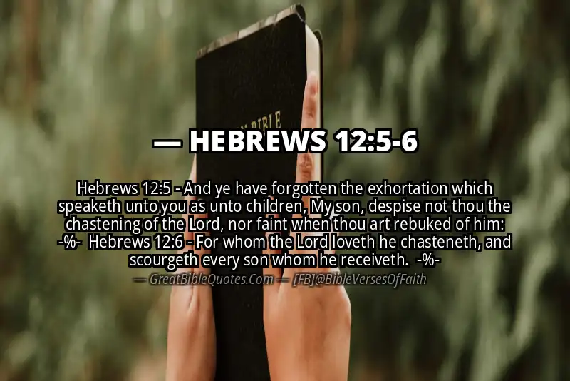 Image for HEBREWS 12:5-6 Bible verse