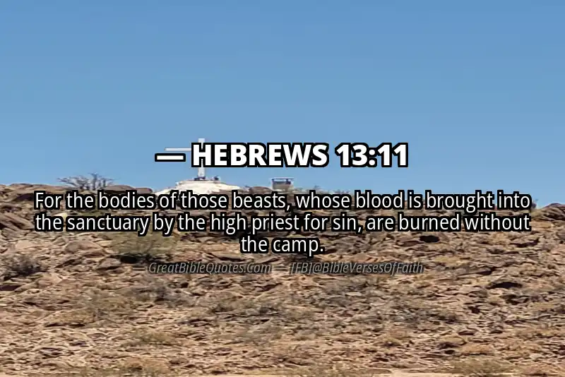 HEBREWS 13:11 Verse Image