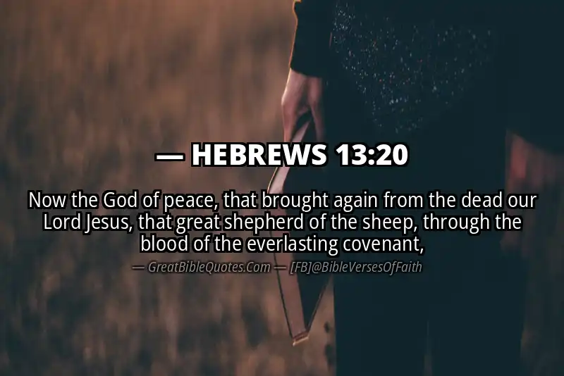 Bible verse: HEBREWS 13:20 Image