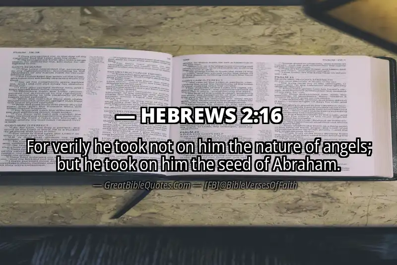 Bible verse: HEBREWS 2:16 Image