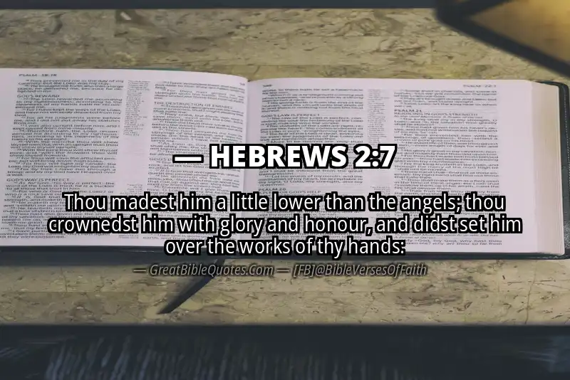 Bible verse: HEBREWS 2:7 Image