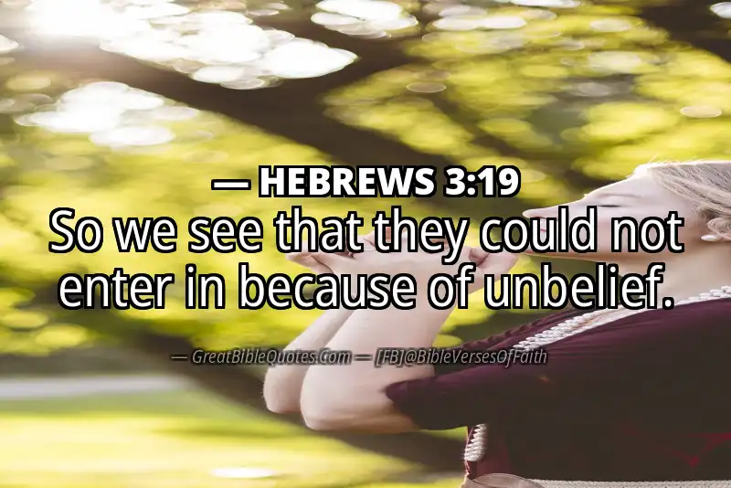 Bible verse: HEBREWS 3:19 Image